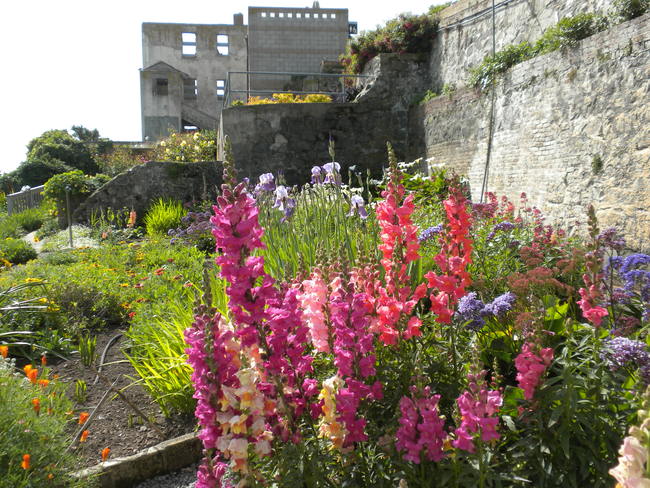 Virtual Course: Gardens as Agents of Change - SOLD OUT